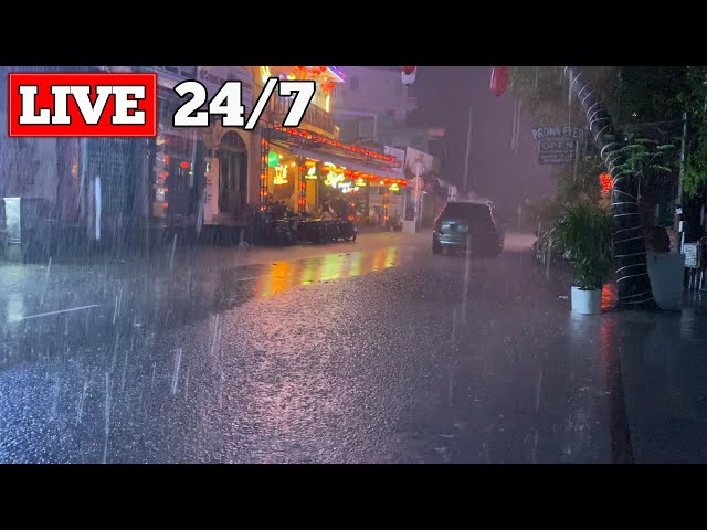 Night Storm Rain at Bustling Restaurant - Heavy Rain u0026 Strong Winds with Thunder Sounds for Sleeping class=