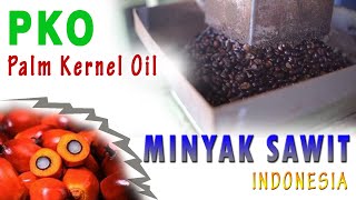 Palm Kernel Oil (PKO) Kelapa Sawit | Proses Produksi PKO, Diagram Alir PKO, Minyak PKO | Sawit