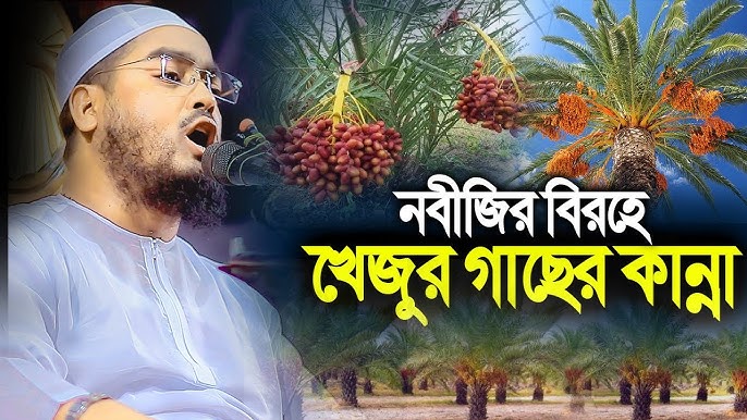 Kichkina shirinsoz bir narsaga tayyor Yogon Dik kirib kelayotgan yaqindan