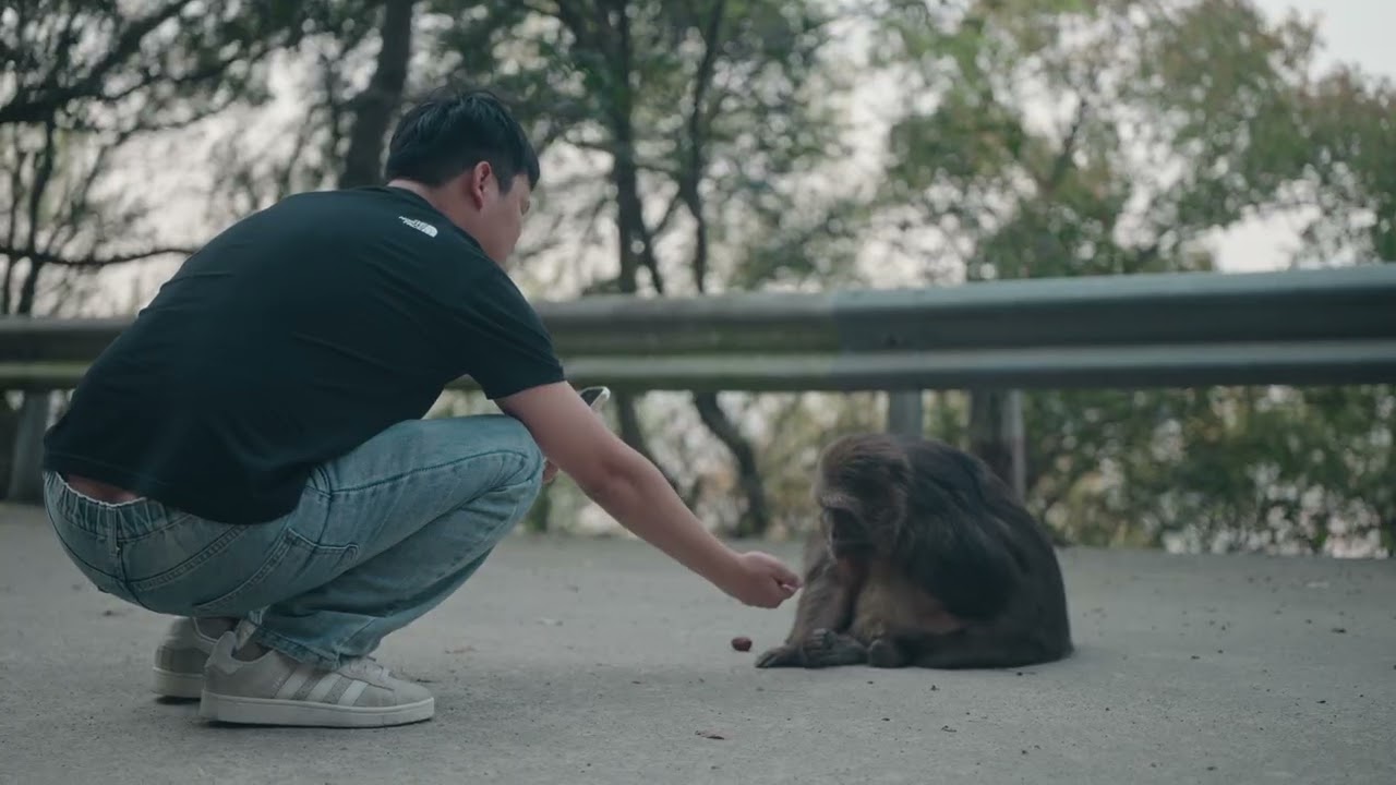 Xing Xing: Chinese Monkey