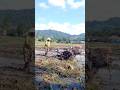 Traktor sawah banyuwangi #1846 #traktororang #farming #excavator #sawah #padi