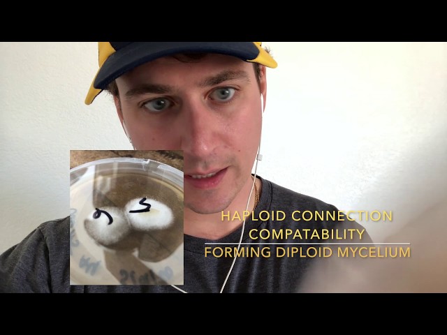 sddefault.jpg