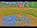 Забытая Россия. Фонтан в заброшенной усадьбе Льзи. Fountain in the abandoned farm Lzi.