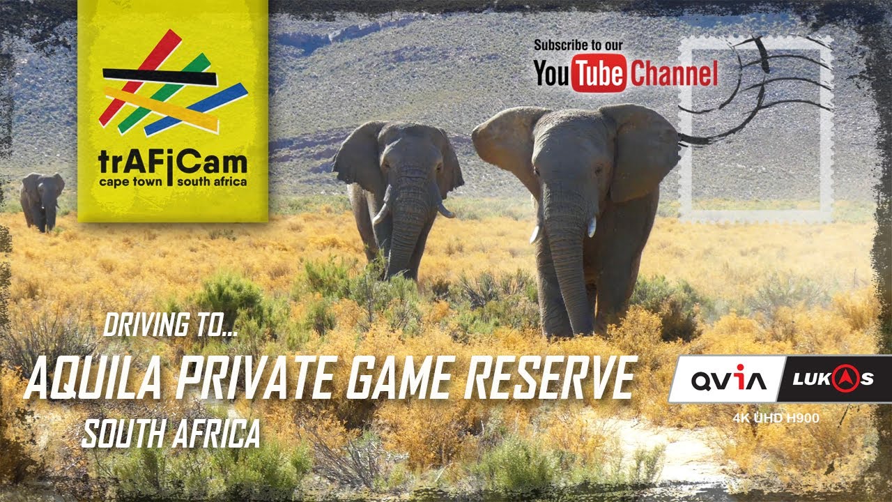 Driving to Aquila Private Game Reserve | South Africa | 2025/01/26 | 