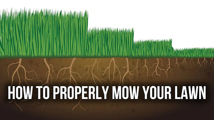 How to Properly Mow Your Lawn - Tips for a Healthi...