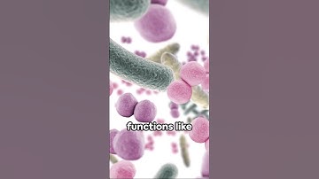 Microbiome: The Invisible Universe Within Us #stomach #guts #biology #science #bacteria #chemistry