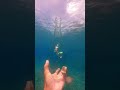 タネも仕掛けもありませんガチ