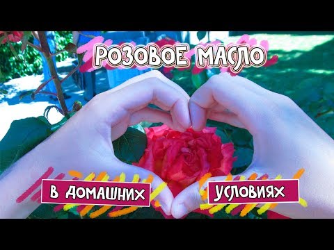 РОЗОВОЕ МАСЛО В ДОМАШНИХ УСЛОВИЯХ