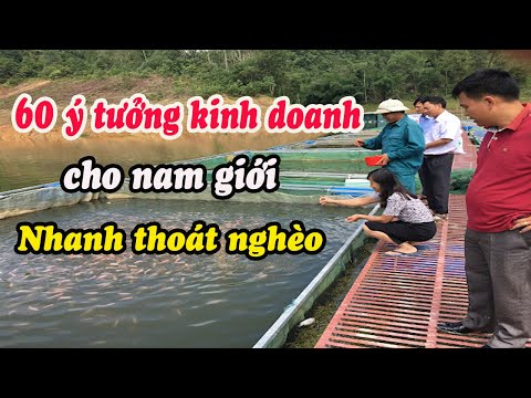 Video: Jum cửa hàng trực tuyến: đánh giá của khách hàng