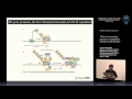 V. Orlando - Role of noncoding genome in epigenetic control of cell identity