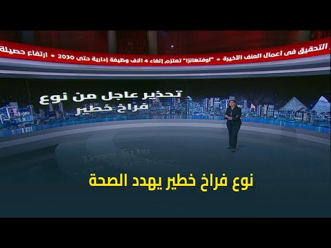 تحذير عاجل من نوع فراخ خطير د مصطفى بسطامي أستاذ أمراض الدواجن يكشف التفاصيل