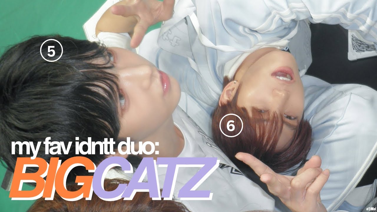 my favourite duo: bigcatz !! 