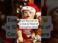 Even My Cat Is Sick and Tired of Corruption 😹🎄 | Filipino Ginger Cats Christmas Special #shorts