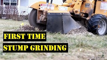 First Time Stump Grinding