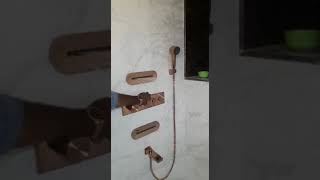 Kohler bodyjet