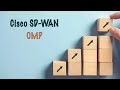Overlay Management Protocol - OMP - Cisco (Viptela) SD-WAN - Part 2
