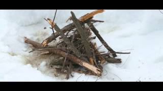 Большой Уссурийский остров