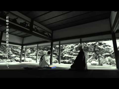 竹内結子　モルツ