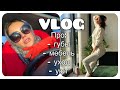 VLOG#ПОКУПКА МЕБЕЛИ/ПРО ГУБЫ/УХОД ЗА ВОЛОСАМИ/СОЗДАЮ УЮТ. Запорожская Анна