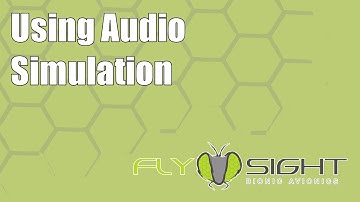 Using Audio Simulation