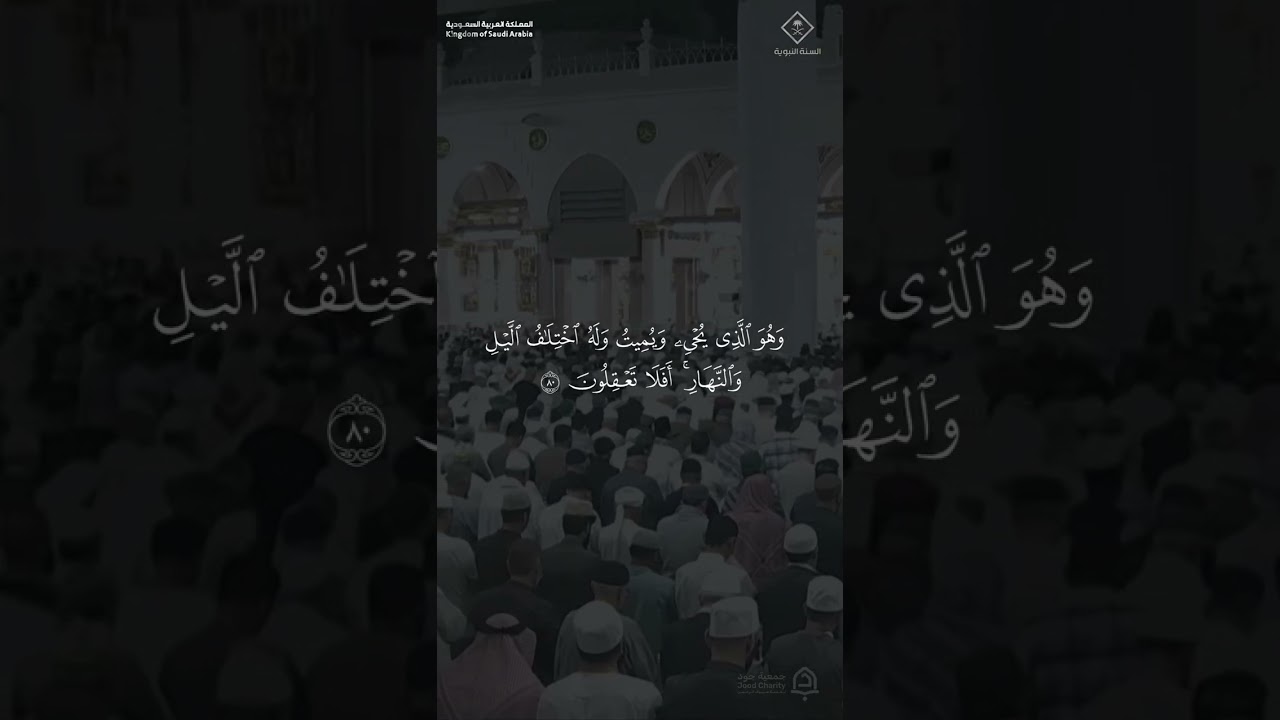 مقتطف من تلاوة فضيلة الشيخ #عبدالله_القرافي من صلاة الفجر 19 شوال 1447هـ