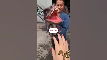 Artificial T Rex Baby Dinosaur 