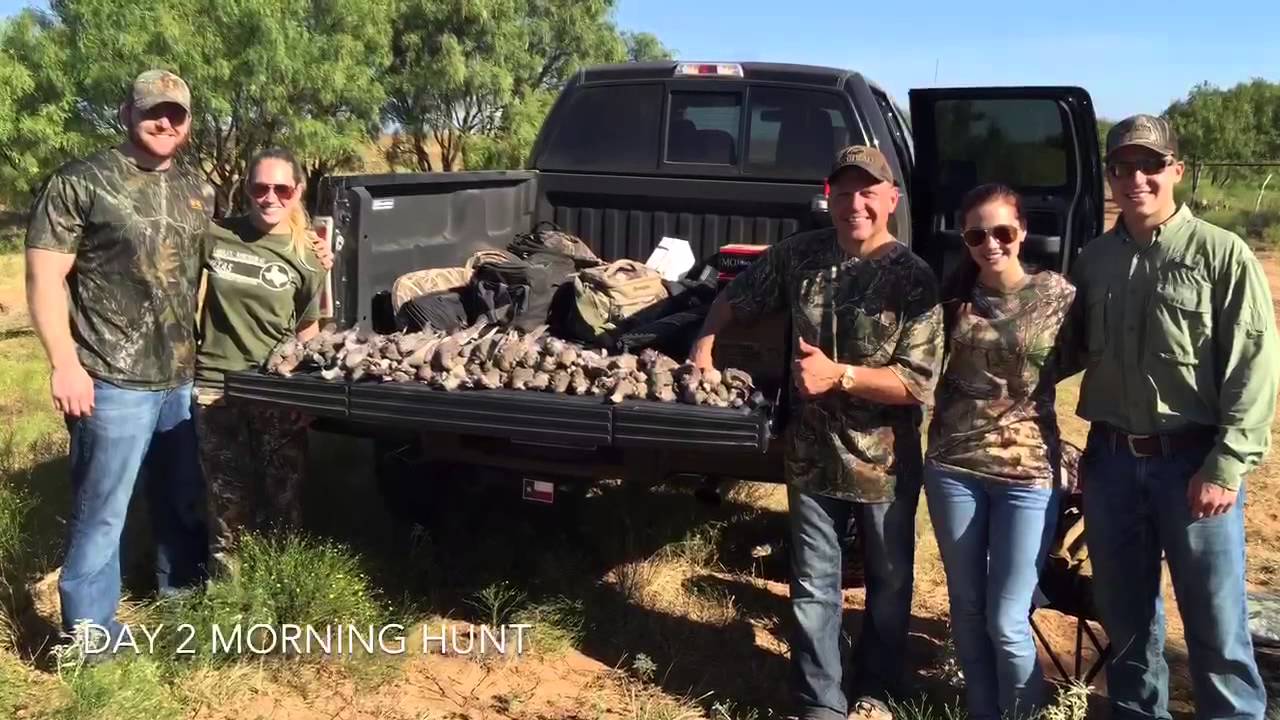 Dove Hunt - Vlog