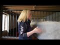 Equine Sports Massage Rhomboids Massage