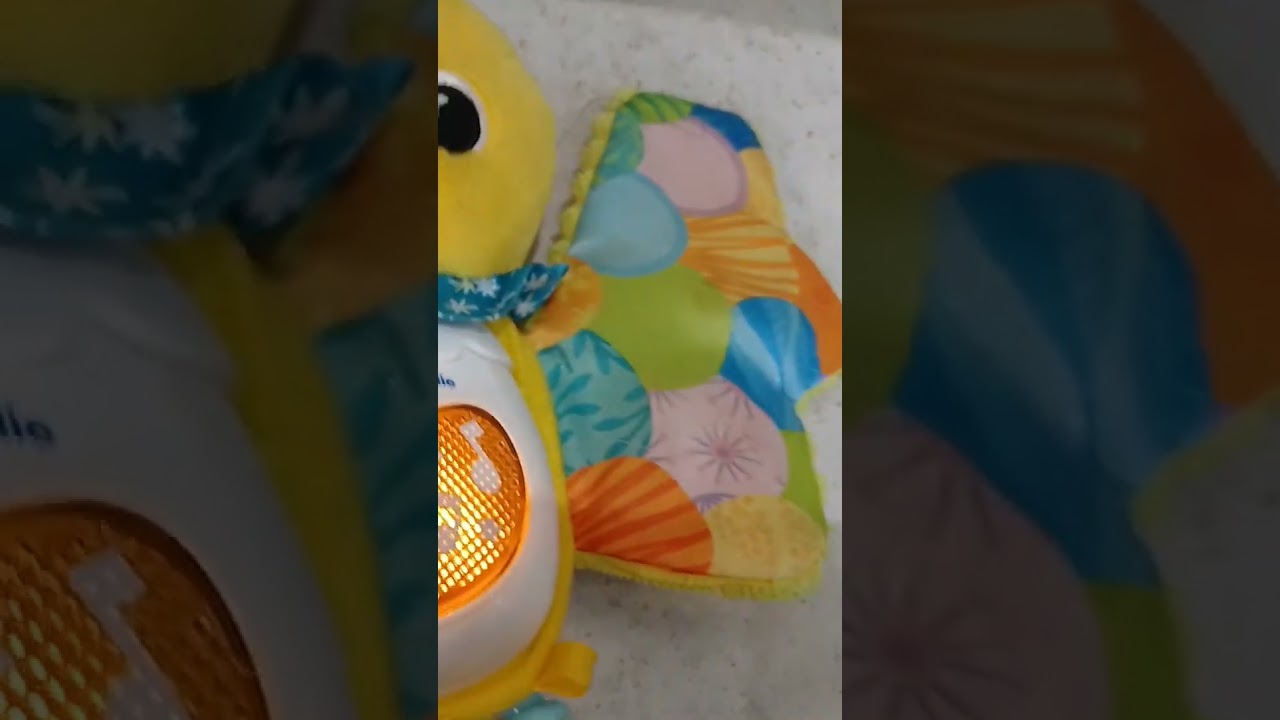 Rattle and shake birdie song shorts