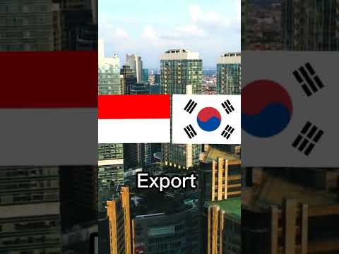 Indonesia VS South korea | HI everyone