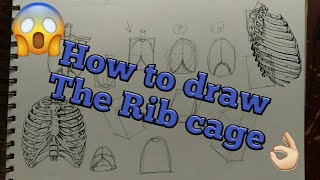 😭HOW TO DRAW THE RIB CAGE IN ANY ANGLE😱