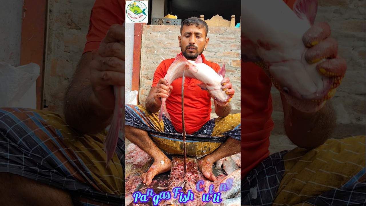 "The Art Of Pangas Fish Cutting | Ultimate ASMR Experience" 