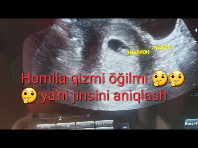 Pomelo bilan porno tomosha qiling Chertanovodagi fohishalar