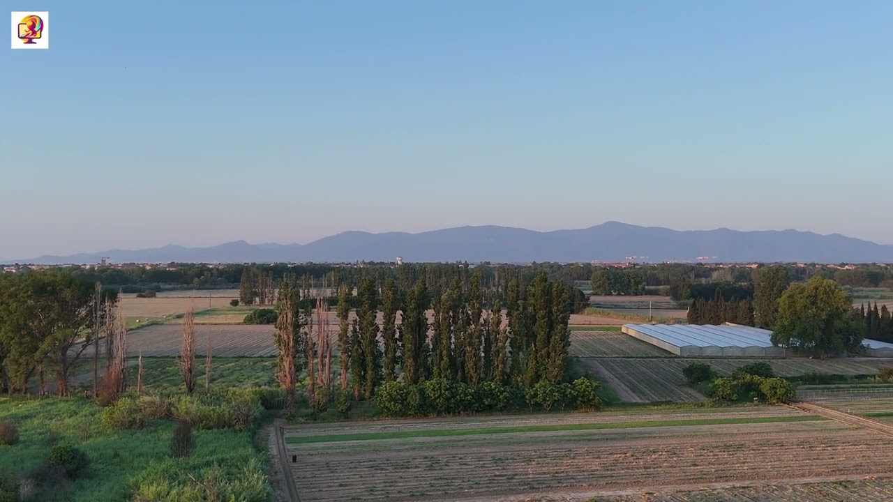 Salanque Printemps 2024