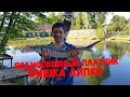 Платный пруд Фишка Липки, ловля карпа и осетра, платная рыбалка 2019