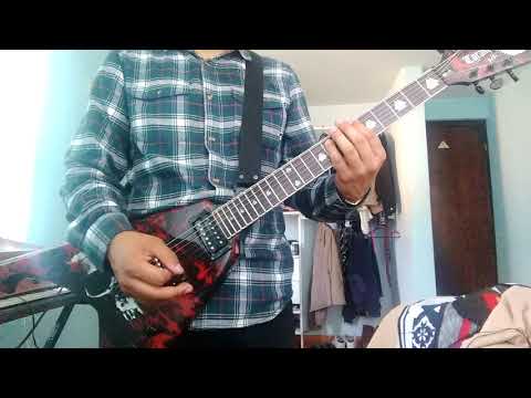 Carcass unfit for human consumption guitar cover
