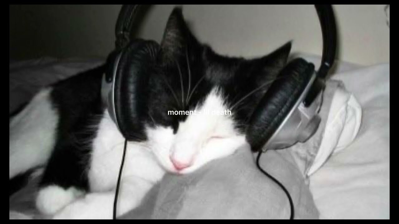 moment lil death (sped up) YouTube