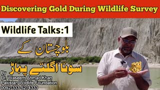 Wildlife Talks Ep: 1 | Discovering Gold During A Wildlife Survey | Discovering Gold In Balochistan