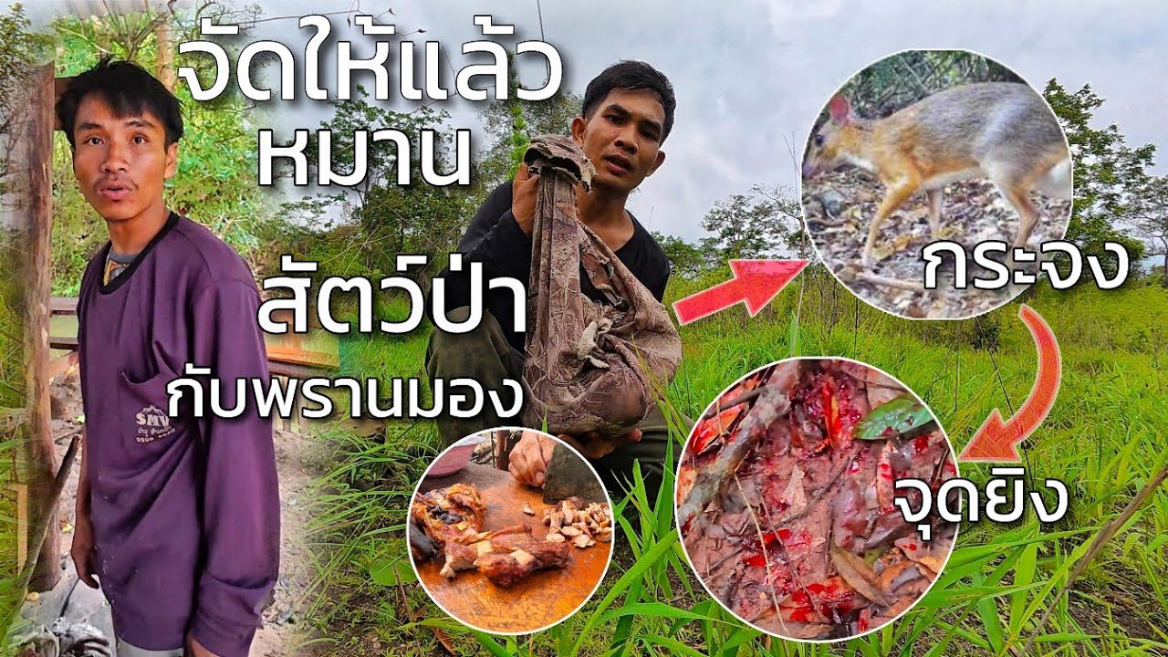 จัดให้แล้วหมานกระจงกับพรานมอง//ຫມານກະຈົງກັບພານມອງ Hieng บ่าวเฮียง คนหากิน