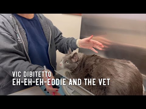 Eh-Eh-Eh-Eddie and the Vet