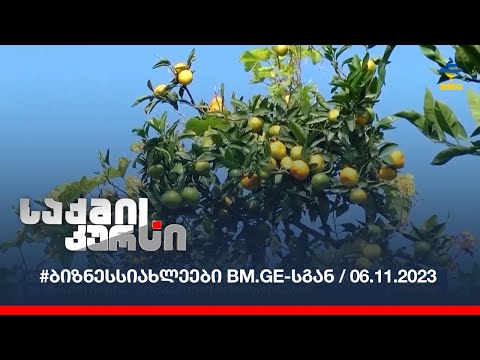 #ბიზნესსიახლეები bm.ge-სგან / 06.11.2023