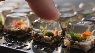 Pressing Jelly Aquarium Keyboard Keys 🐠 ASMR screenshot 5