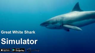 Information Great White Shark Simulator Game Trailer for iOS and Android Update