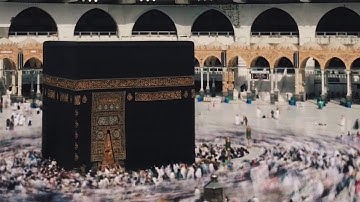 رعد الكردي | تلاوة خاشعة مليئة بالجمال