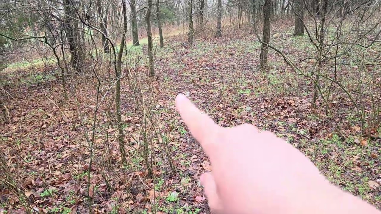 Rubba dub deer. Signs for new  hunters to look for.