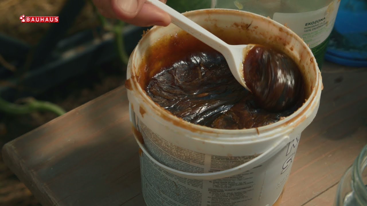 Škola vrtlarstva - kako protiv pepelnice