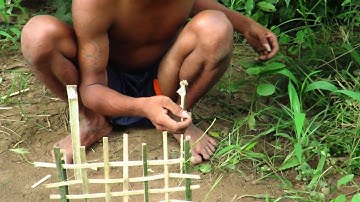 Primitive Technology   Find Quail by bamboo trap   cooking Quails eating delicious