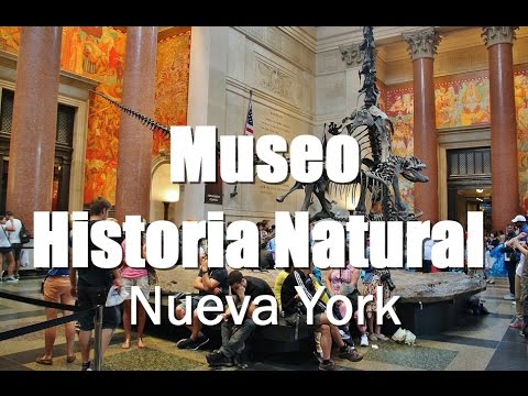 Vídeo: Guia del Museu Americà d'Història Natural de Nova York