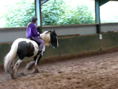 Cantering on my first lesson
