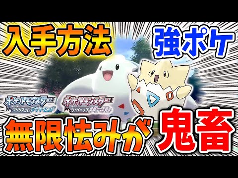 ポケモン ダイパリメイク 無限怯みの極悪コンボ ドゲキッス 進化前トゲピーの入手方法 ひかりのいしもいるので注意 攻略 ブリリアントダイヤモンド シャイニングパール sp 厳選 メタモン Youtube